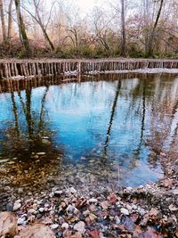 Reflection of trees in lake