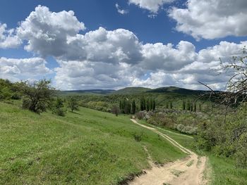Scenic view of landscape against sky