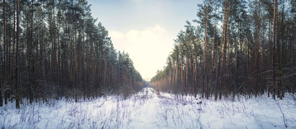 Panoramic shot of snow covered land against sky