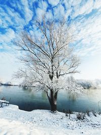 Bare tree against sky during winter