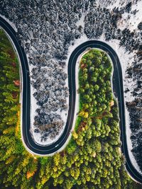 High angle view of snow covered plants