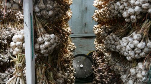 Full frame shot of vegetables for sale in market