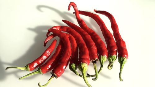 Close-up of red chili pepper against white background