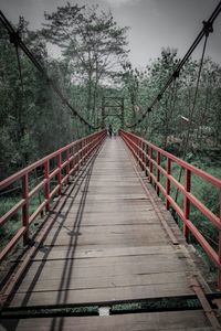 View of footbridge in forest