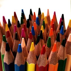 Close-up of colored pencils against white background