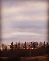 Trees on field against sky at sunset