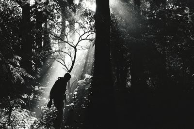 Rear view of silhouette man walking in forest