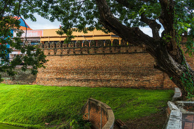 Lawn by building