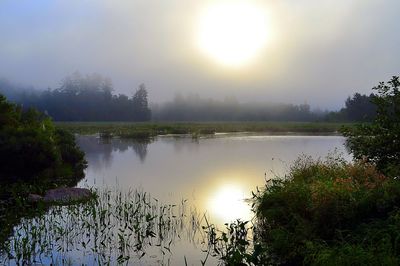 Sun shining over lake