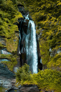 Scenic view of waterfall in forest