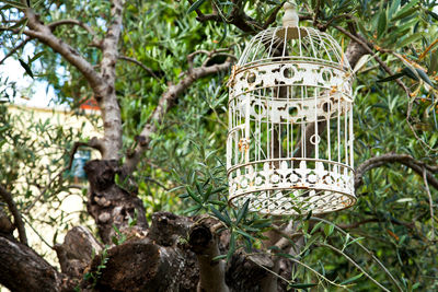 Close-up of bird perching on tree