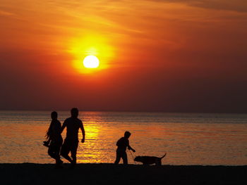 Silhouette dog on beach against sky during sunset