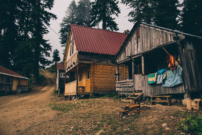 Man sitting on wooden house amidst trees and plants against sky