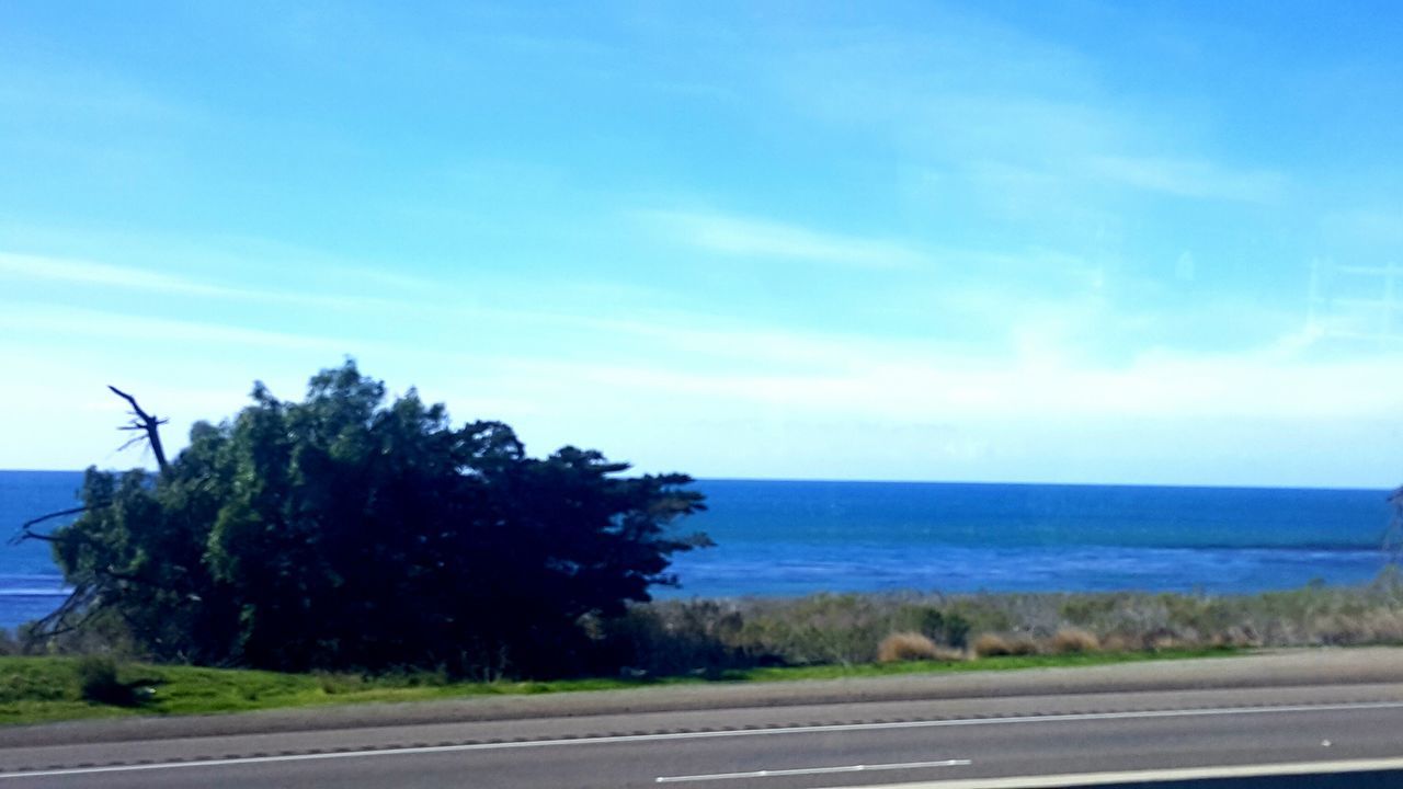 sea, horizon over water, sky, water, tranquil scene, tranquility, road, blue, scenics, tree, beauty in nature, nature, the way forward, beach, cloud, transportation, growth, cloud - sky, outdoors, idyllic