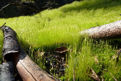 View of wooden fence on field