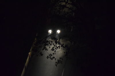 High angle view of illuminated lighting equipment on tree at night