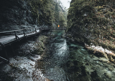 Bridge over river in forest