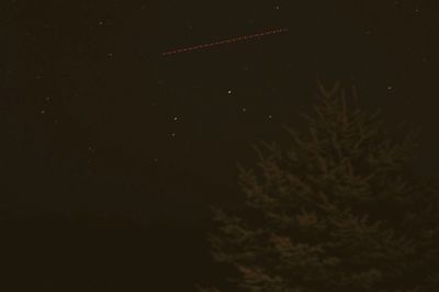 Low angle view of tree against sky at night