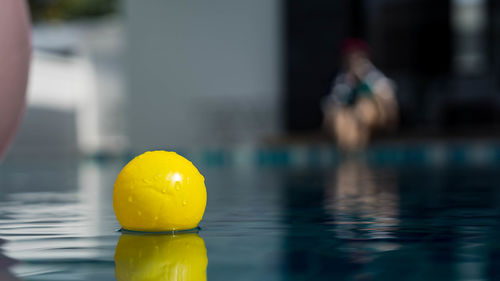 Close-up of yellow swimming in pool