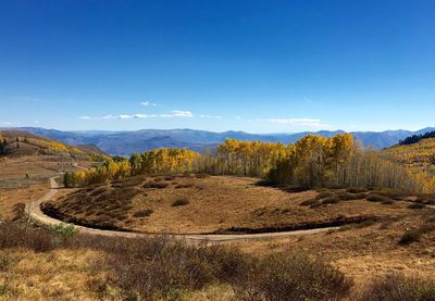 Scenic view of landscape against blue sky