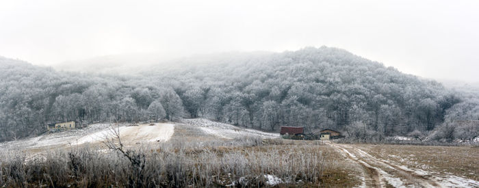 Winter at the edge of the forest in the rural area of transylvan