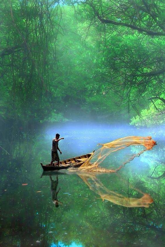 MAN SWIMMING IN A FOREST