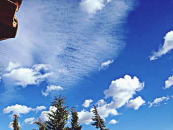 Low angle view of trees against blue sky