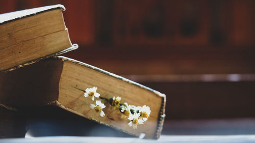 Close-up of open book on table