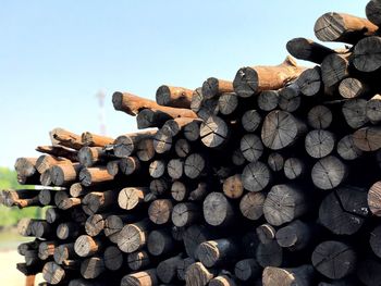 Stack of logs against stone wall
