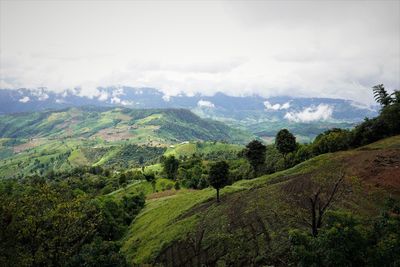 Scenic view of landscape against sky