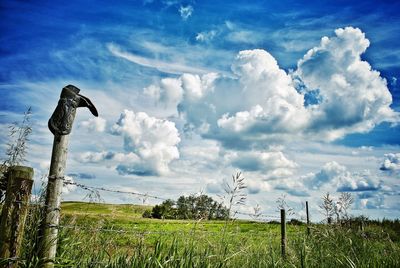 Birds on grassy field against sky