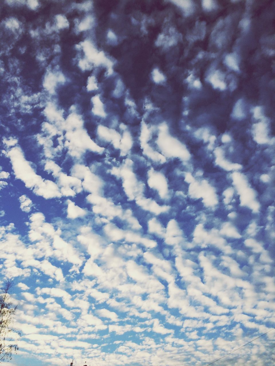 low angle view, sky, tranquility, cloud - sky, beauty in nature, nature, backgrounds, scenics, tranquil scene, full frame, cloudy, outdoors, no people, day, idyllic, weather, tree, cloud, sky only, sunlight