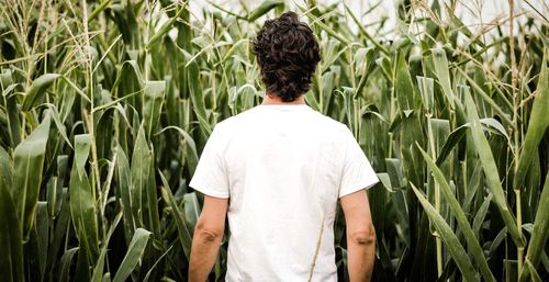 Rear view of man standing against plants