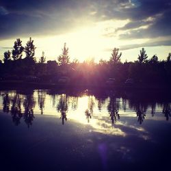 Reflection of trees in lake