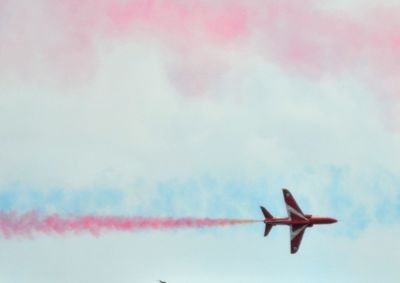 Low angle view of bird flying in sky