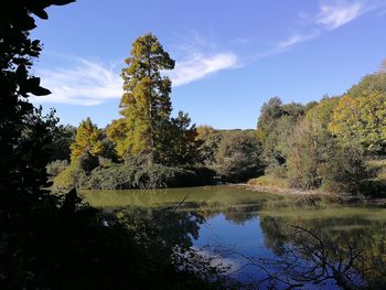 Reflection of trees in lake against sky