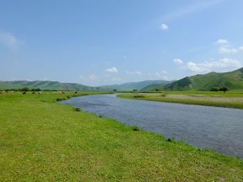 Scenic view of river by field against sky