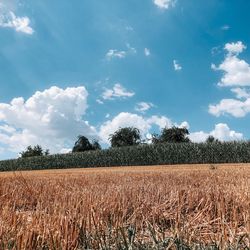 Scenic view of field against sky