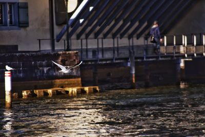 View of buildings in water