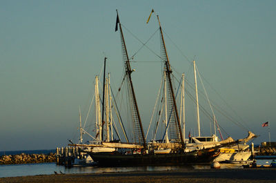 Sailboats moored at beach against sky