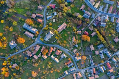 Aerial view of houses and trees in town