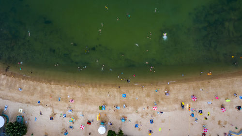 High angle view of people at wet shore