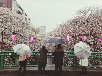 Woman holding flowers in park