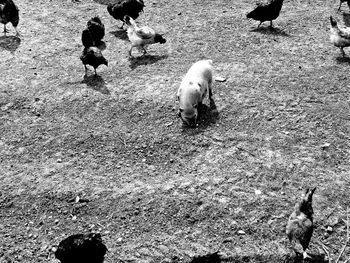 Full frame shot of white background