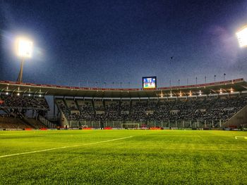 Multi colored grass against clear sky