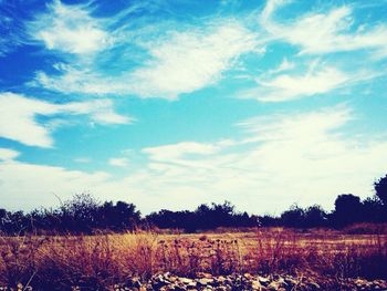 Scenic view of field against cloudy sky