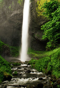 Scenic view of waterfall in forest