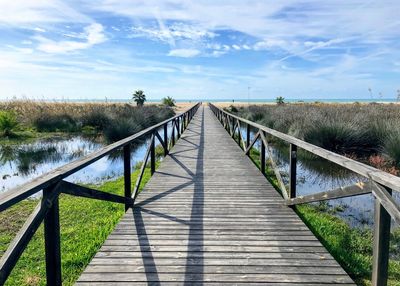 Wooden footbridge leading towards plants against sky