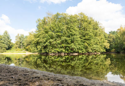 Trees by lake in forest against sky