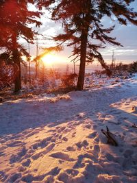 Trees on snow covered field against sky during sunset